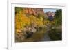 Utah, Zion National Park. Zion Canyon and Virgin River with Cottonwood Trees-Jaynes Gallery-Framed Photographic Print