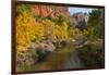Utah, Zion National Park. Zion Canyon and Virgin River with Cottonwood Trees-Jaynes Gallery-Framed Photographic Print