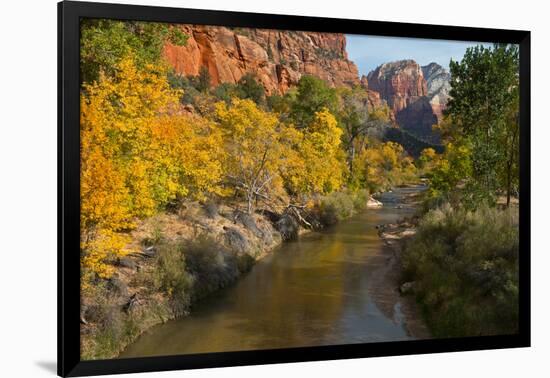 Utah, Zion National Park. Zion Canyon and Virgin River with Cottonwood Trees-Jaynes Gallery-Framed Photographic Print