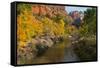 Utah, Zion National Park. Zion Canyon and Virgin River with Cottonwood Trees-Jaynes Gallery-Framed Stretched Canvas