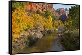 Utah, Zion National Park. Zion Canyon and Virgin River with Cottonwood Trees-Jaynes Gallery-Framed Stretched Canvas