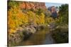 Utah, Zion National Park. Zion Canyon and Virgin River with Cottonwood Trees-Jaynes Gallery-Stretched Canvas
