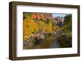 Utah, Zion National Park. Zion Canyon and Virgin River with Cottonwood Trees-Jaynes Gallery-Framed Photographic Print