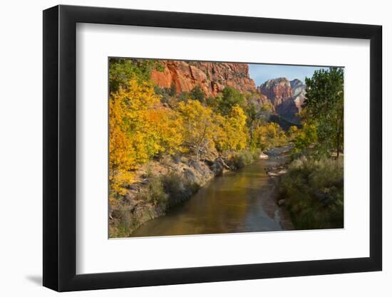 Utah, Zion National Park. Zion Canyon and Virgin River with Cottonwood Trees-Jaynes Gallery-Framed Photographic Print