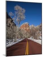 Utah, Zion National Park, Zion Canyon Scenic Drive, Winter, USA-Walter Bibikow-Mounted Photographic Print