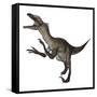 Utahraptor Dinosaur Roaring-Stocktrek Images-Framed Stretched Canvas