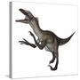 Utahraptor Dinosaur Roaring-Stocktrek Images-Stretched Canvas