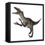 Utahraptor Dinosaur Roaring-Stocktrek Images-Framed Stretched Canvas