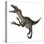 Utahraptor Dinosaur Roaring-Stocktrek Images-Stretched Canvas