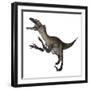 Utahraptor Dinosaur Roaring-Stocktrek Images-Framed Art Print