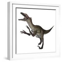 Utahraptor Dinosaur Roaring-Stocktrek Images-Framed Art Print