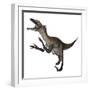 Utahraptor Dinosaur Roaring-Stocktrek Images-Framed Art Print