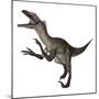 Utahraptor Dinosaur Roaring-Stocktrek Images-Mounted Art Print