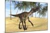 Utahraptor in a Prehistoric Environment-null-Mounted Art Print