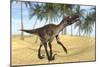 Utahraptor in a Prehistoric Environment-null-Mounted Art Print