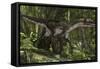 Utahraptor in a Prehistoric Forest-null-Framed Stretched Canvas