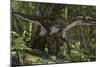 Utahraptor in a Prehistoric Forest-null-Mounted Art Print