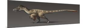 Utahraptor Ostrommaysorum, the Largest known Dromaeosaur-null-Mounted Art Print