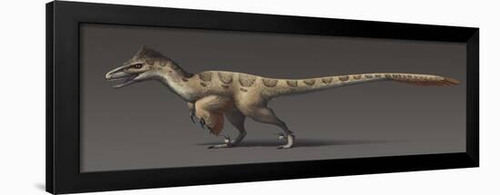 Utahraptor Ostrommaysorum, the Largest known Dromaeosaur-null-Framed Art Print