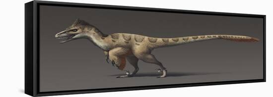 Utahraptor Ostrommaysorum, the Largest known Dromaeosaur-null-Framed Stretched Canvas