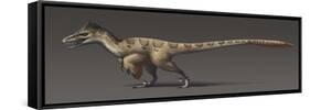 Utahraptor Ostrommaysorum, the Largest known Dromaeosaur-null-Framed Stretched Canvas