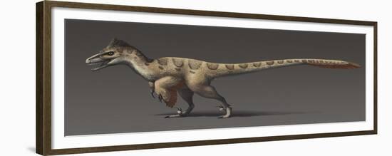 Utahraptor Ostrommaysorum, the Largest known Dromaeosaur-null-Framed Premium Giclee Print