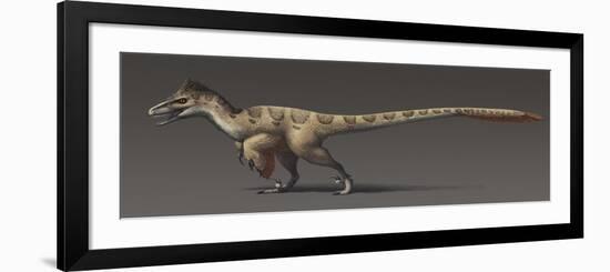 Utahraptor Ostrommaysorum, the Largest known Dromaeosaur-null-Framed Art Print