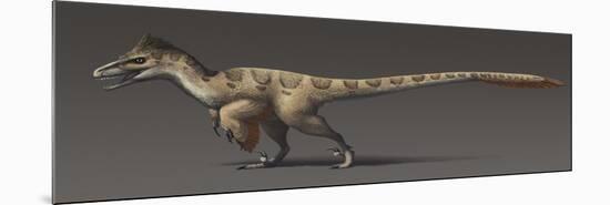 Utahraptor Ostrommaysorum, the Largest known Dromaeosaur-null-Mounted Art Print