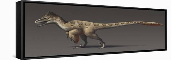 Utahraptor Ostrommaysorum, the Largest known Dromaeosaur-null-Framed Stretched Canvas