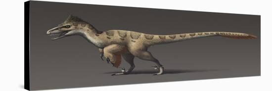 Utahraptor Ostrommaysorum, the Largest known Dromaeosaur-null-Stretched Canvas