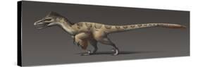 Utahraptor Ostrommaysorum, the Largest known Dromaeosaur-null-Stretched Canvas