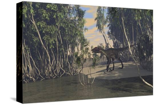 Stretched Canvas Print, , large