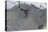 Utahraptor Running Down a Hill-null-Stretched Canvas