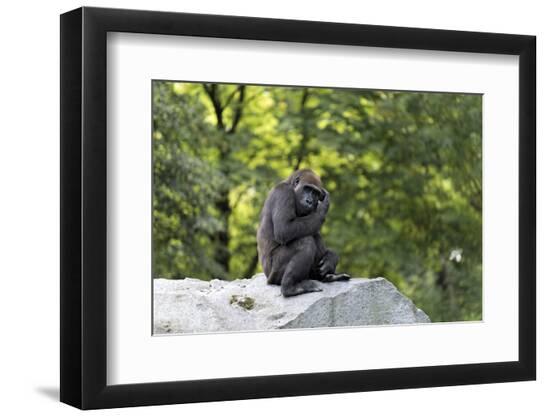 Premium Photographic Print, , large