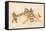 Ute Indian, 1874-75-null-Framed Stretched Canvas