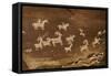 Ute Petroglyphs, Arches National Park, Utah, USA-Roddy Scheer-Framed Stretched Canvas