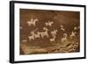 Ute Petroglyphs, Arches National Park, Utah, USA-Roddy Scheer-Framed Photographic Print