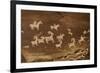 Ute Petroglyphs, Arches National Park, Utah, USA-Roddy Scheer-Framed Photographic Print