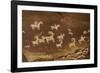 Ute Petroglyphs, Arches National Park, Utah, USA-Roddy Scheer-Framed Photographic Print