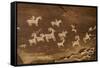 Ute Petroglyphs, Arches National Park, Utah, USA-Roddy Scheer-Framed Stretched Canvas