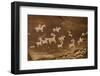 Ute Petroglyphs, Arches National Park, Utah, USA-Roddy Scheer-Framed Premium Photographic Print