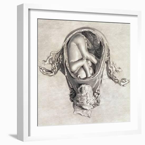 Uterus with Fetus, Illustration, 1774-Science Source-Framed Giclee Print