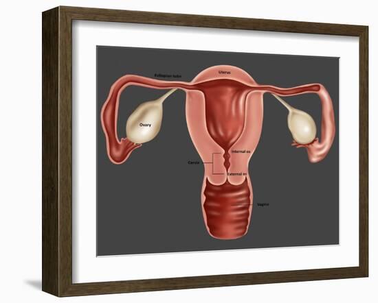 Uterus-Gwen Shockey-Framed Giclee Print