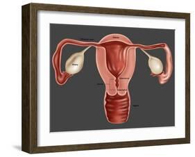 Uterus-Gwen Shockey-Framed Giclee Print