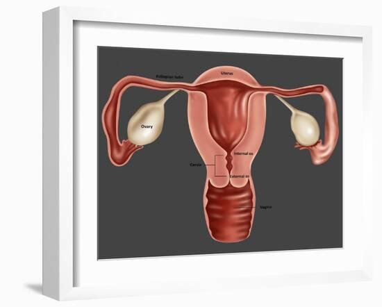 Uterus-Gwen Shockey-Framed Giclee Print