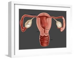 Uterus-Gwen Shockey-Framed Giclee Print