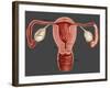 Uterus-Gwen Shockey-Framed Giclee Print