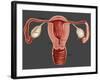 Uterus-Gwen Shockey-Framed Giclee Print