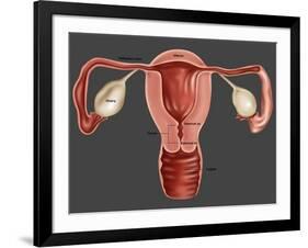 Uterus-Gwen Shockey-Framed Giclee Print