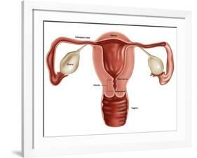 Uterus-Gwen Shockey-Framed Giclee Print